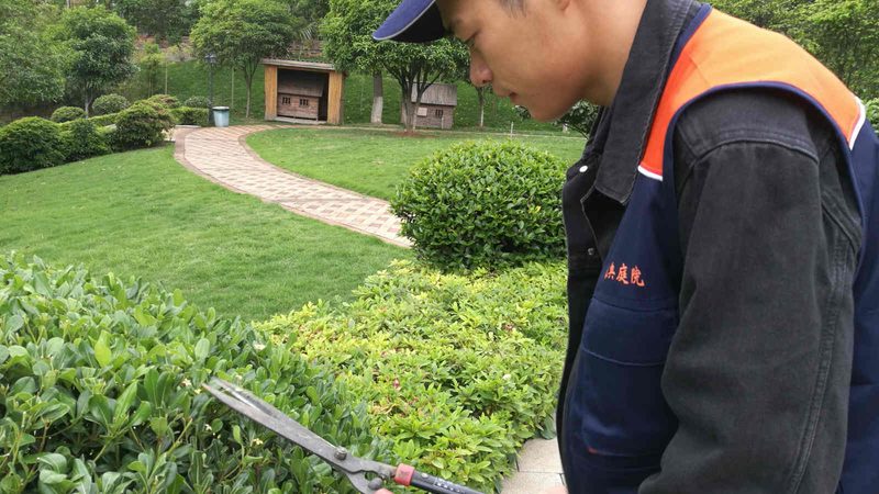 植物墙维护费用：一年多少钱，你了解多少？**