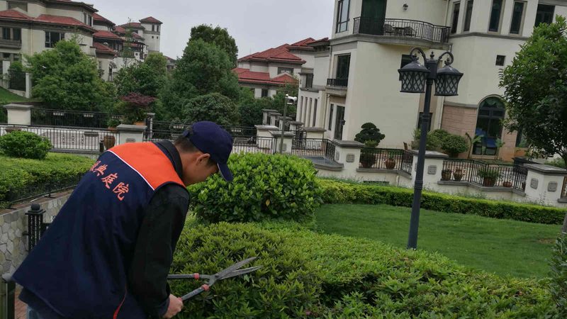 工厂厂区绿化设计施工