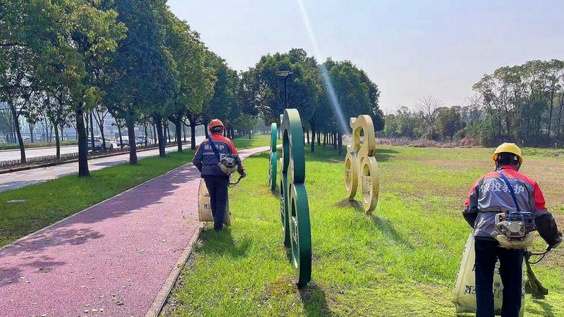 绿化养护，机械助力：揭秘绿化养护机械设备种类**