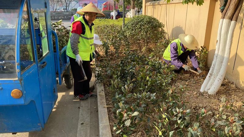 绿植租赁合同模板：规范操作，保障双方权益