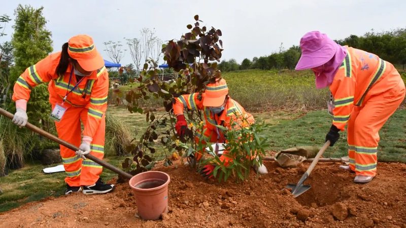 垂直绿化墙玻璃钢基材：如何提升城市绿化的立体空间利用**