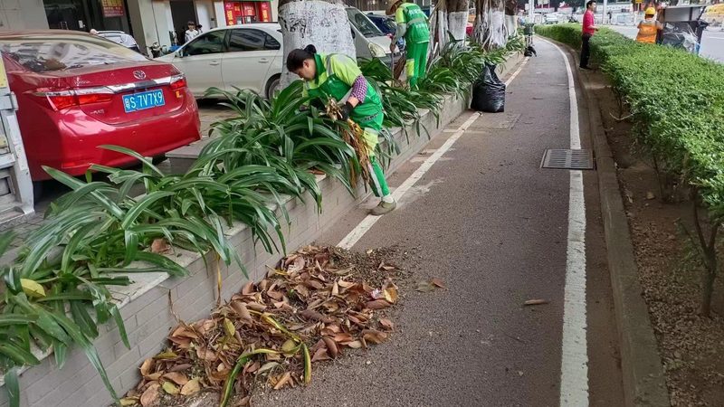 园林绿化报价规范参数解析：如何科学评估成本与质量**