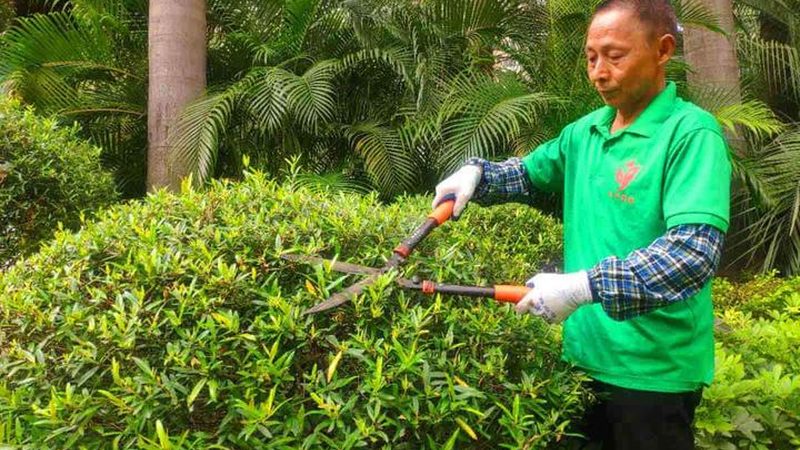 庭院草坪铺设基础怎么选？揭秘庭院草坪稳固性的关键