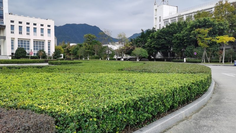 园林工程预算软件推荐