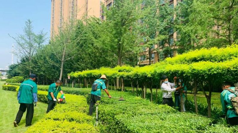 上海花卉租摆养护：打造绿色空间的艺术**